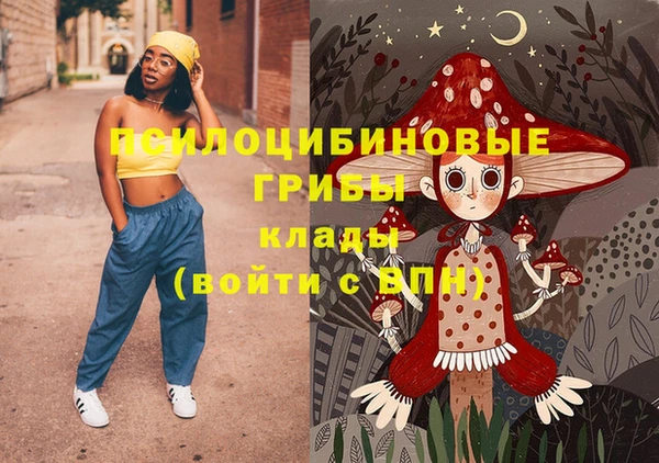 дживик Нягань