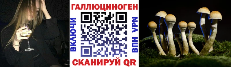 Галлюциногенные грибы Psilocybine cubensis  Игра 